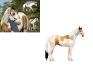 Real Horses