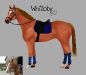whillo