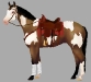 buckskin paint