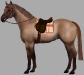 Horse in Tack