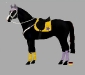dressage