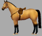 baby buckskin