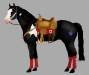 Kevin's Second Horse