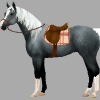 silver-star
