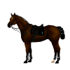 snaffles-1-polo-horse