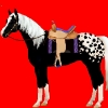 western
